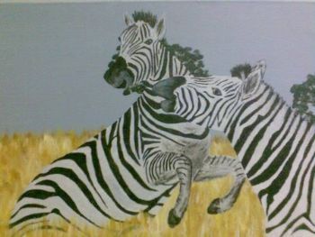 "Zebras playing"