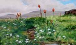"Thomas River"
