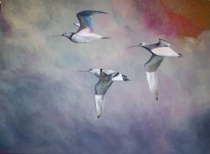 "Godwits"
