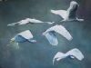"Spoonbills III"