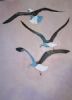 "Seagulls I"