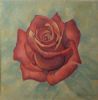 "Rose 3"
