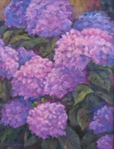 "Pink Hydranges"