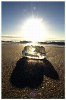 "jellyfish-hand"