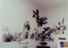"Kitchen mural"