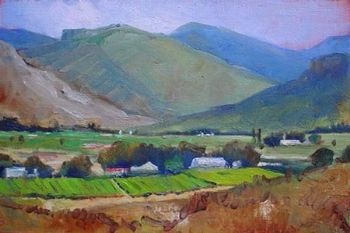 "Hex River Valley, C.P."