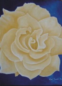 "Wilna's Rose"