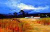 "Western Cape Farm"