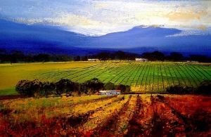 "Vineyards"