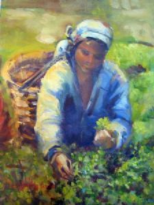 "Tea Picker"