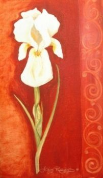 "Iris"
