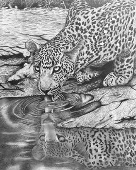 "At the Waterhole"