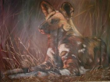 "Resting Wild Dog"