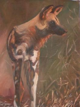 "Wilddog"