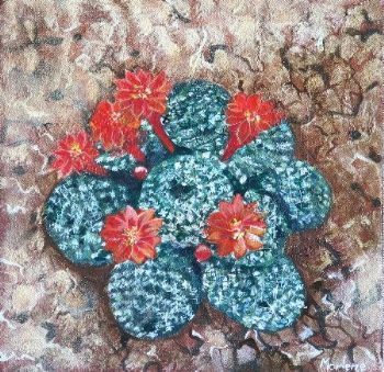"Cactus 3"