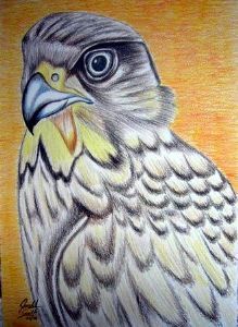 "Eagle"