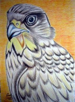 "Eagle"