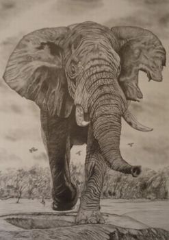 "The Big One"