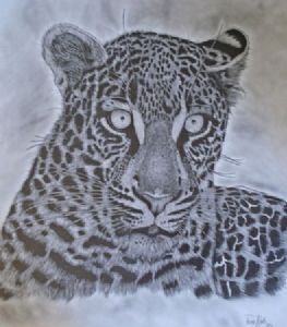 "Wild One III"