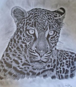 "Wild One III"