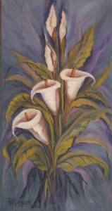 "Arum Lily"