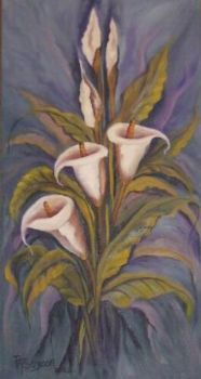"Arum Lily"