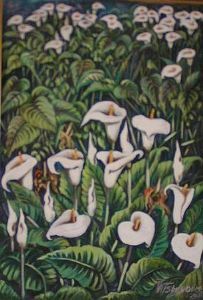 "Arum Lily Meadow"