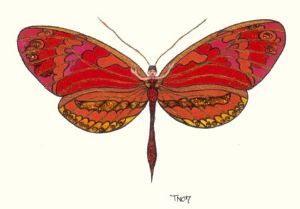 "Glitterfly 9"