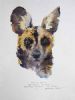 "Illustration Wild dog 3"