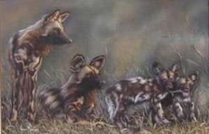 "Wild Dogs"