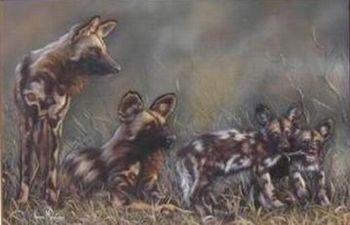 "Wild Dogs"