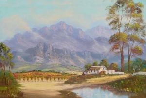 "Boland Vineyards"