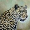 "Leopard portrait #2"