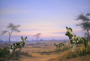 "Dawn Hunt"