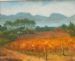 Cape Autumn Groot Constantia 2 RESERVED