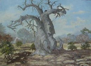 "Limpopo Baobab"