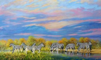 "Zebra Sundowners"