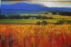 "Overberg Spring"
