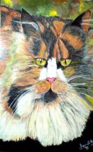 "Staring Cat"