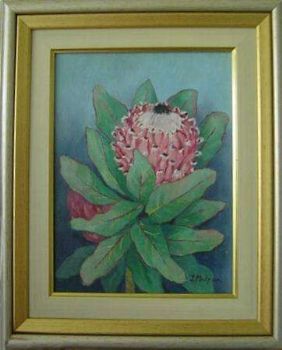 "Protea"