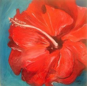 "Hibiscus"