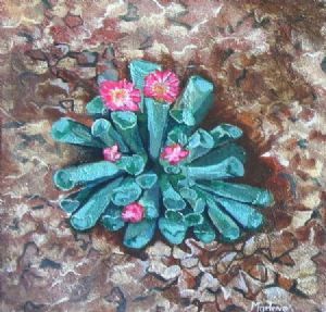 "Cactus 2"