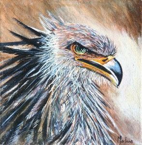 "Secretary Bird"