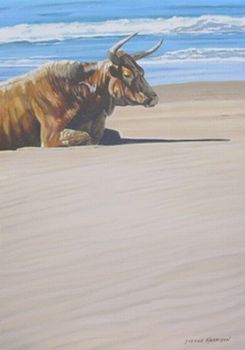 "My Beach"