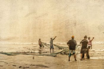 "Hauling in the Net"