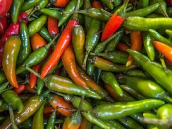 "Fresh Chilli Peppers"