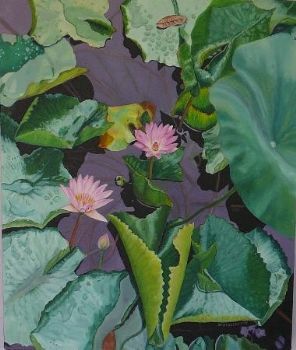 "Waterlilies"