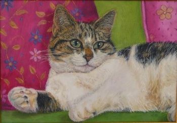 "Cat with Cushions"