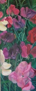 "Sweet Peas"