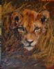 "Lion Cub"